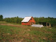 ���������� ���: �� ������ �������