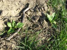 �������� �� ������� ������ ����� ����� 